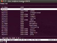 Clex is a small terminal file manager